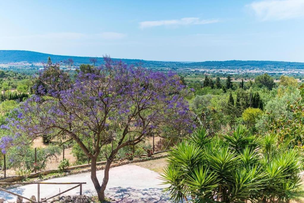 Villa Cirera In Alaro Exterior photo